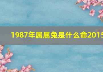 1987年属属兔是什么命2015