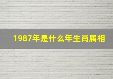 1987年是什么年生肖属相