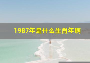 1987年是什么生肖年啊