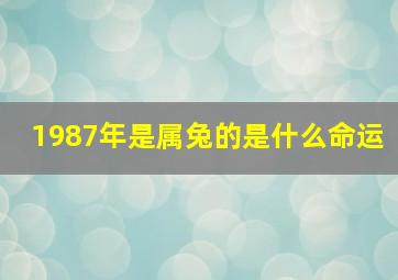 1987年是属兔的是什么命运