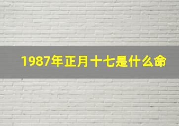 1987年正月十七是什么命