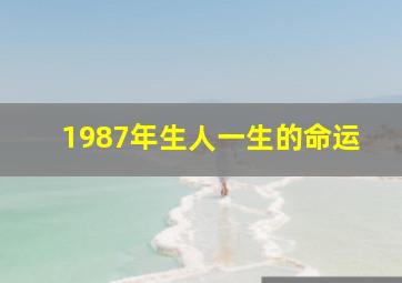 1987年生人一生的命运