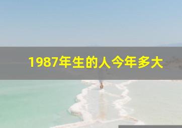 1987年生的人今年多大