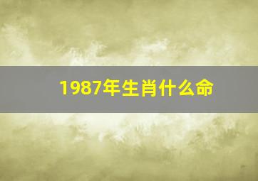 1987年生肖什么命