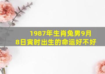 1987年生肖兔男9月8日寅时出生的命运好不好