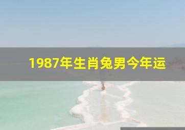 1987年生肖兔男今年运