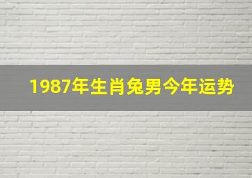 1987年生肖兔男今年运势