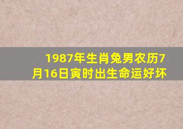 1987年生肖兔男农历7月16日寅时出生命运好坏