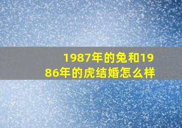 1987年的兔和1986年的虎结婚怎么样