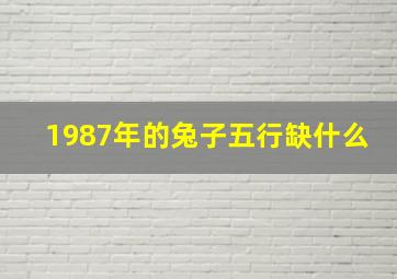 1987年的兔子五行缺什么