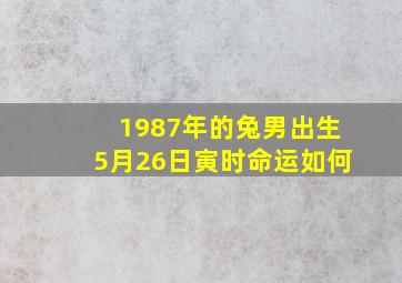 1987年的兔男出生5月26日寅时命运如何