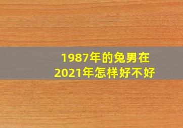 1987年的兔男在2021年怎样好不好