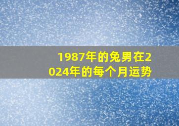 1987年的兔男在2024年的每个月运势