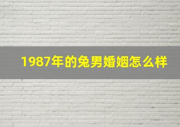 1987年的兔男婚姻怎么样