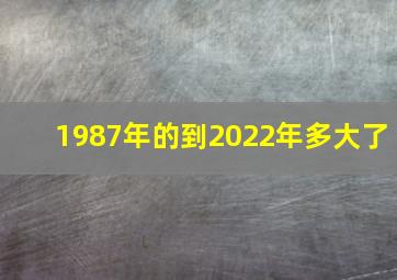 1987年的到2022年多大了