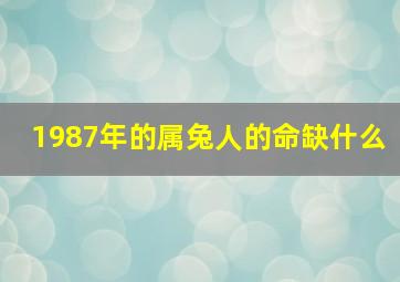 1987年的属兔人的命缺什么