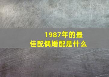 1987年的最佳配偶婚配是什么