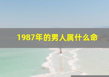 1987年的男人属什么命