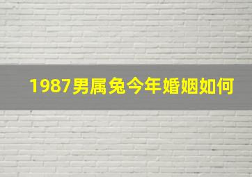 1987男属兔今年婚姻如何