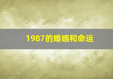 1987的婚姻和命运