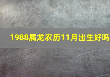 1988属龙农历11月出生好吗