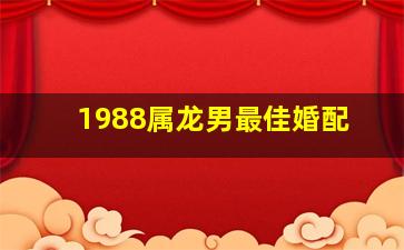 1988属龙男最佳婚配