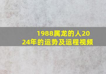 1988属龙的人2024年的运势及运程视频