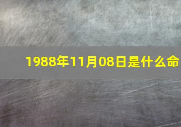 1988年11月08日是什么命