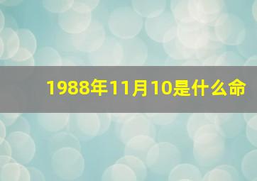 1988年11月10是什么命