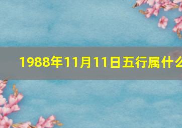 1988年11月11日五行属什么