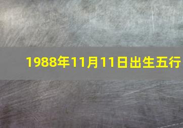 1988年11月11日出生五行