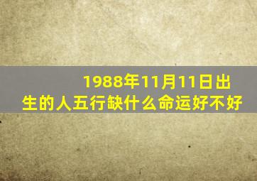 1988年11月11日出生的人五行缺什么命运好不好