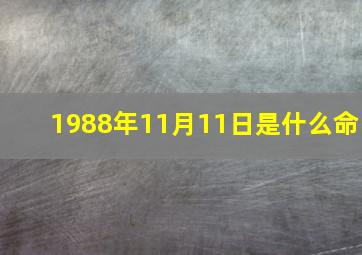 1988年11月11日是什么命