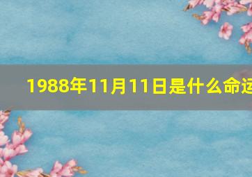 1988年11月11日是什么命运