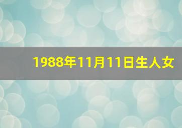 1988年11月11日生人女