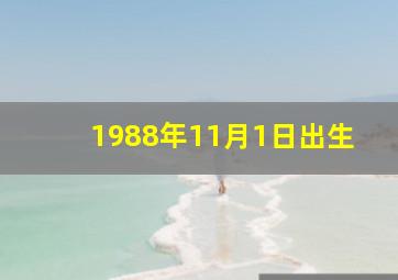 1988年11月1日出生