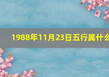 1988年11月23日五行属什么