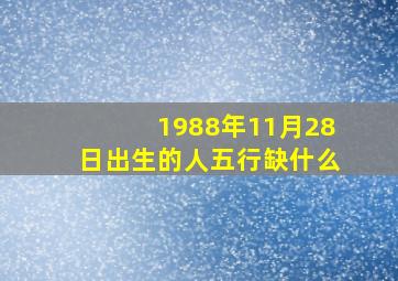 1988年11月28日出生的人五行缺什么