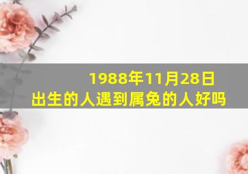 1988年11月28日出生的人遇到属兔的人好吗