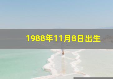 1988年11月8日出生