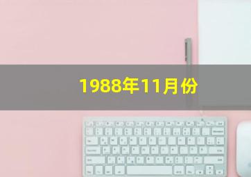 1988年11月份