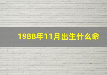 1988年11月出生什么命