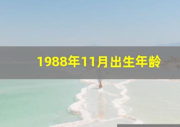 1988年11月出生年龄