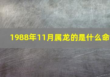 1988年11月属龙的是什么命