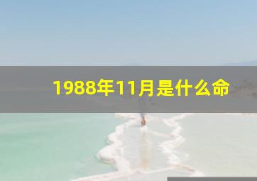 1988年11月是什么命