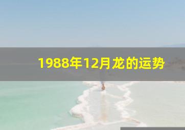 1988年12月龙的运势