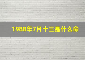 1988年7月十三是什么命