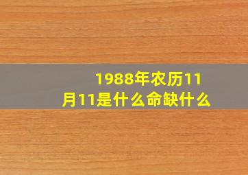 1988年农历11月11是什么命缺什么