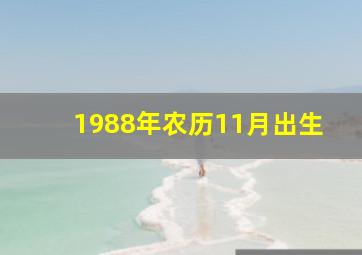 1988年农历11月出生