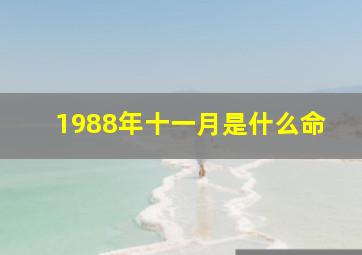 1988年十一月是什么命